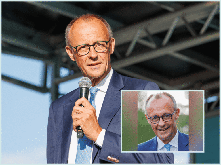 friedrich merz vermögen