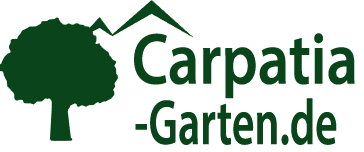 Bauernhortensie „Vanilla Fraise“ – eine außergewöhnliche Hortensie für Garten und Terrasse Bauernhortensie „Vanilla Fraise“ – eine außergewöhnliche Hortensie für Garten und Terrasse